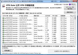 选公办校还是国际校？